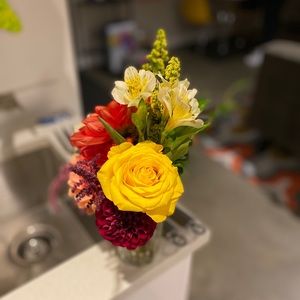 Meet your Posher, Hollie